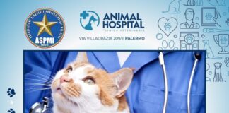 Animal Hospital - Palermo