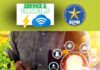 Service & Consulting - Palermo