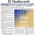 Il Sindacato Anno 1 Numero 19