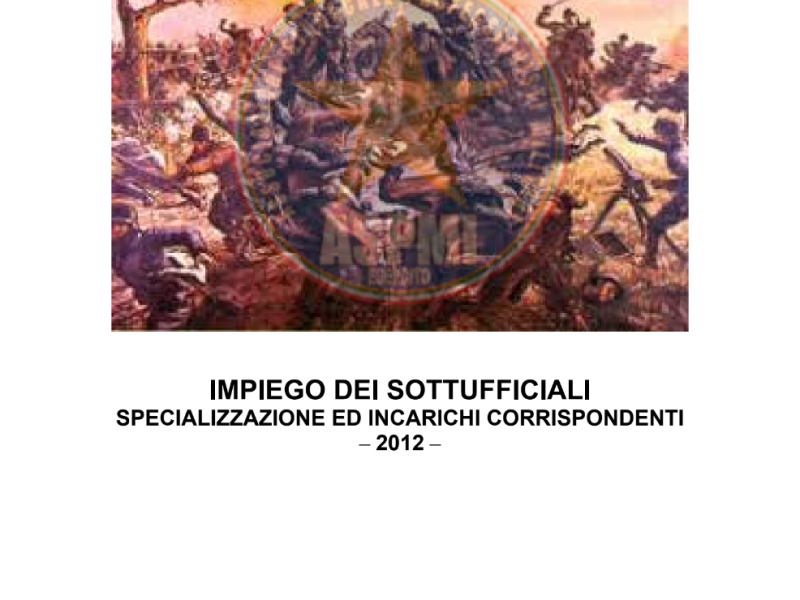 O/SU 2012 Impiego dei Sottufficiali specializzazione ed incarichi corrispondenti Edizione 2012